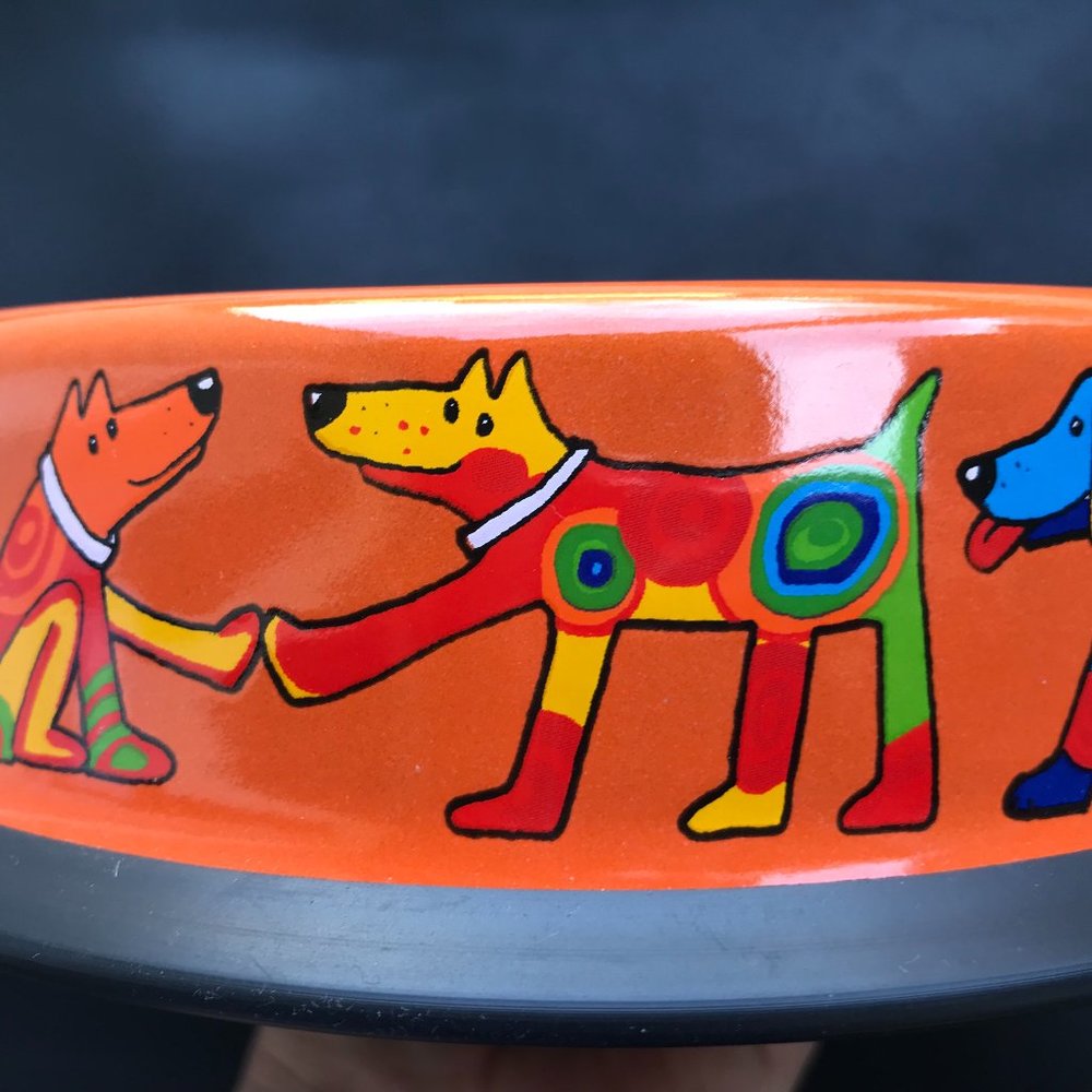 Unique enamelware dog bowls in two sizes imported from Czech Republic - Picture 4 of 5